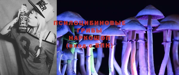 Альфа ПВП Баксан