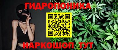индика Тверь