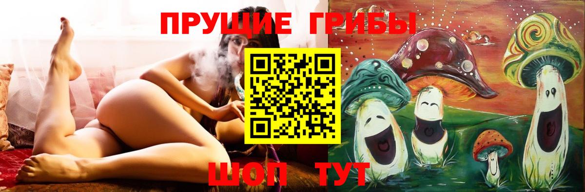 купить  цена  Псилоцибиновые грибы Cubensis  Псилоцибиновые грибы MAGIC MUSHROOMS  Вход с VPN  Сегежа 